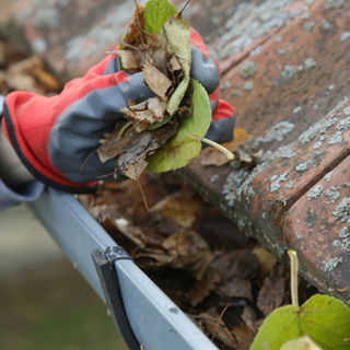 arm met tuinhandschoen die bladeren uit een regenpijp haalt